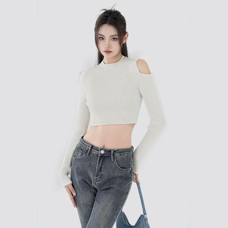 Women off white slim fit Knitted Pullover Cropped Sweaters